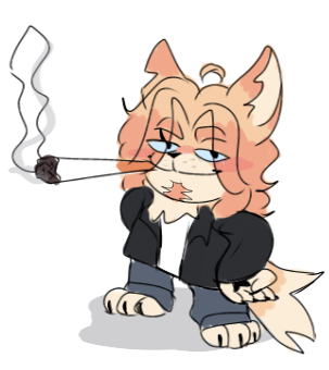 ๐
๐๐๐๐๐๐๐๐๐ฆ๐ท tweet media