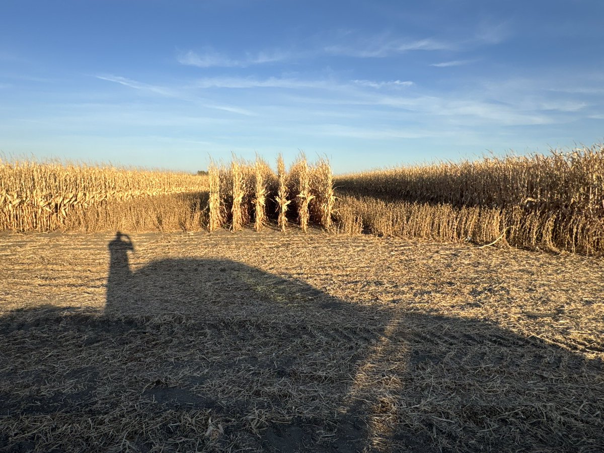 travismesser81's tweet image. The new Gen 3 software from
@PrecisionPlant coupled with #mSet #EMHD is going to make life really simple to plant our 6 row strip fields on #striptill!  @bw_fusion @Agronomy365 @MidwesternBioAg