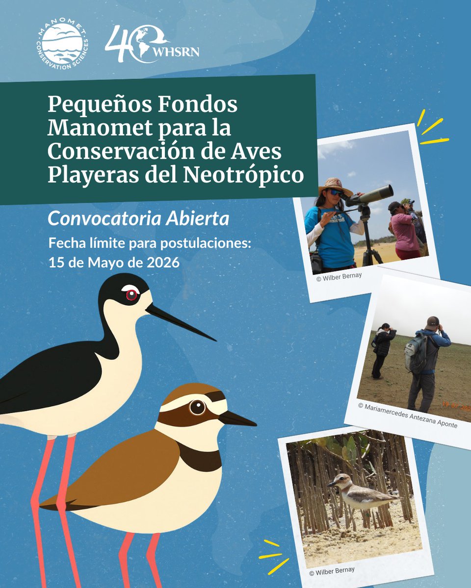 Aves Playeras tweet media