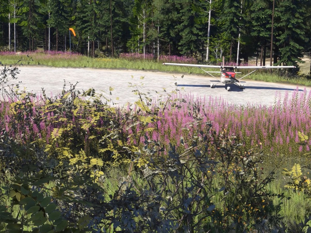 Practically Geek tweet media