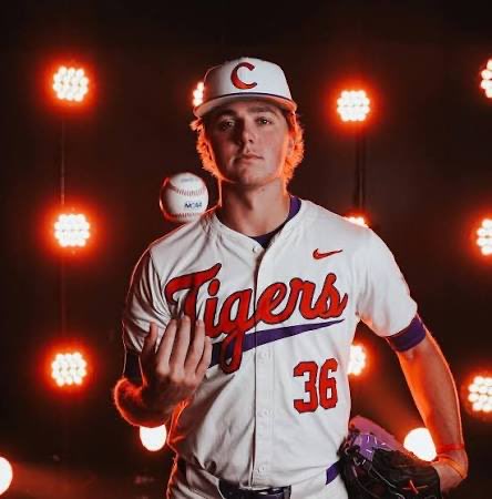 arcadialakestiger tweet media