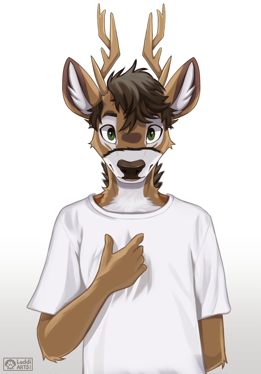 Luddi 💎 tweet media