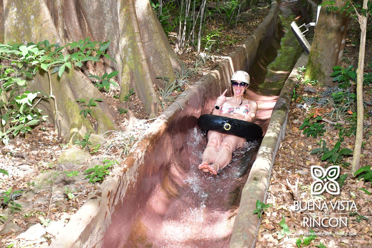 Adrianne Curry tweet media