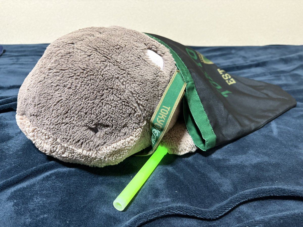 あや❤️🩵🤎 tweet media