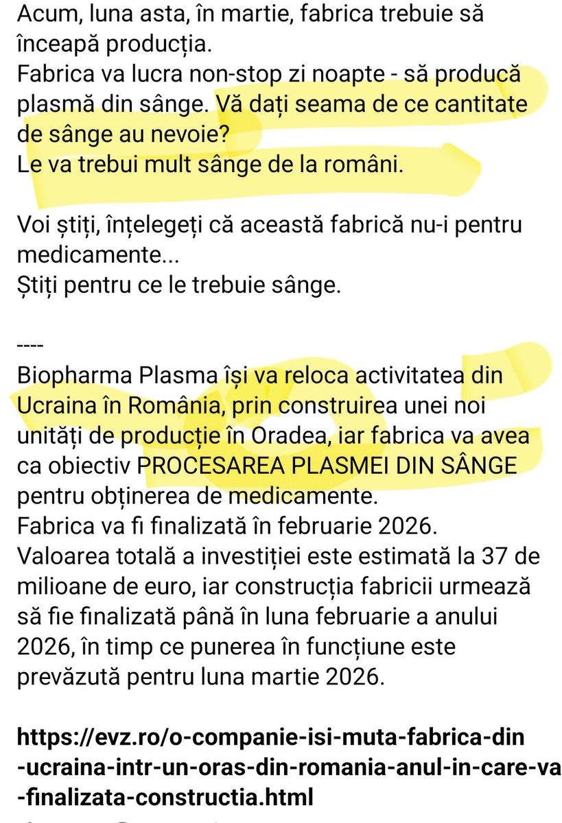 Sinziana Streza tweet media