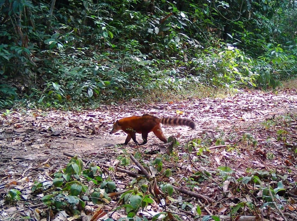 Manifiesta • Moda para la paz tweet media