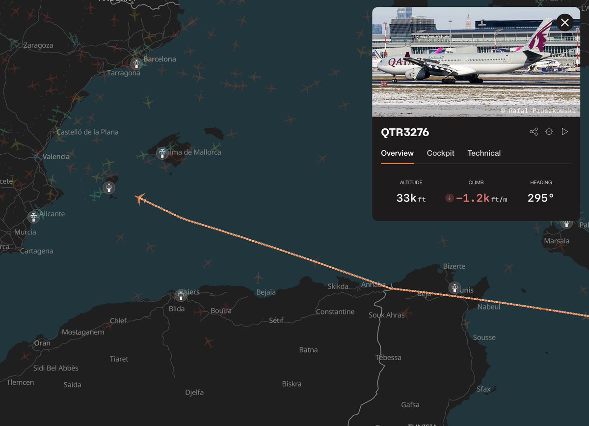 wingbits tweet media