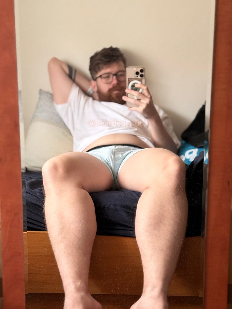 bearded_cub tweet media