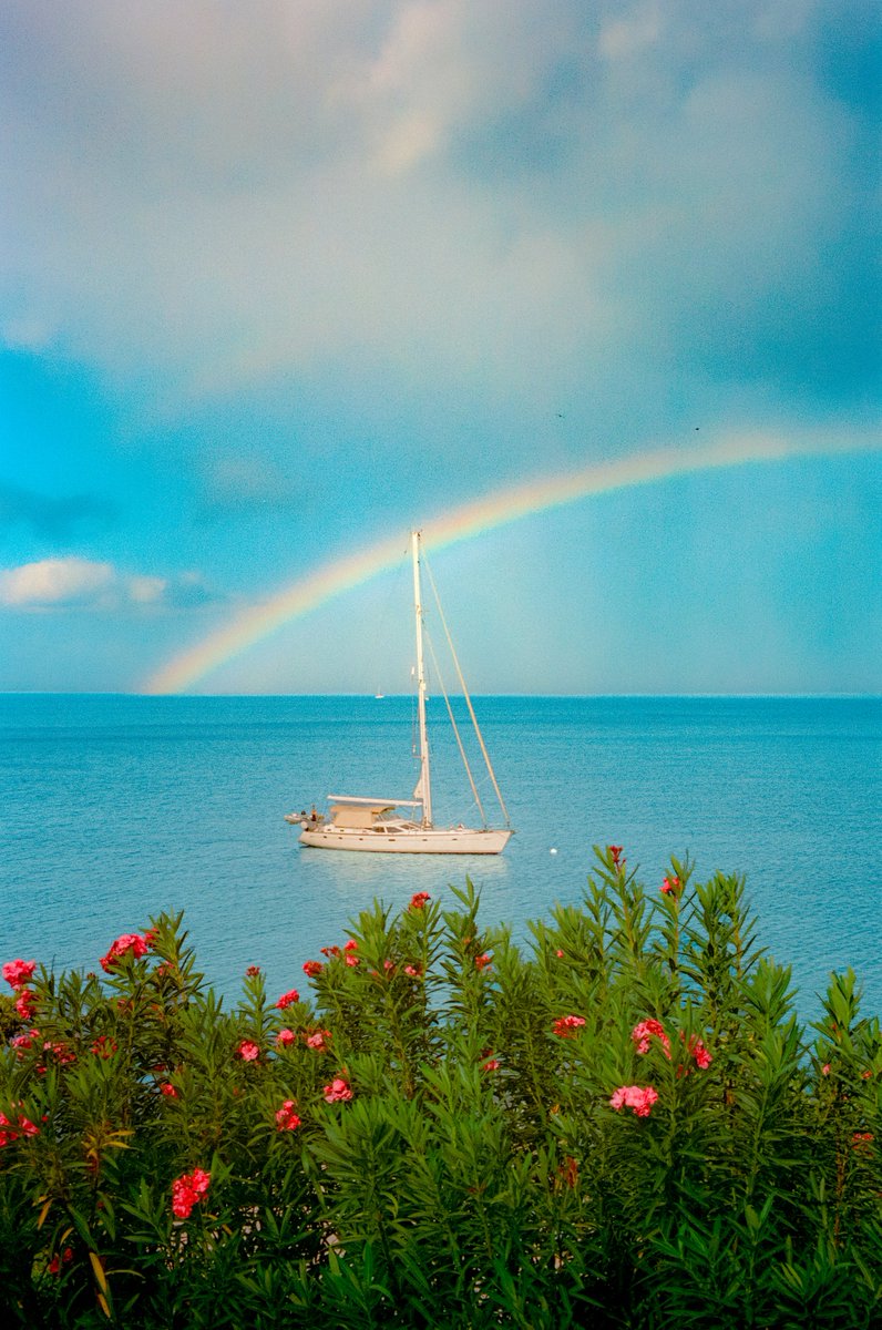 Alex Kittoe tweet media