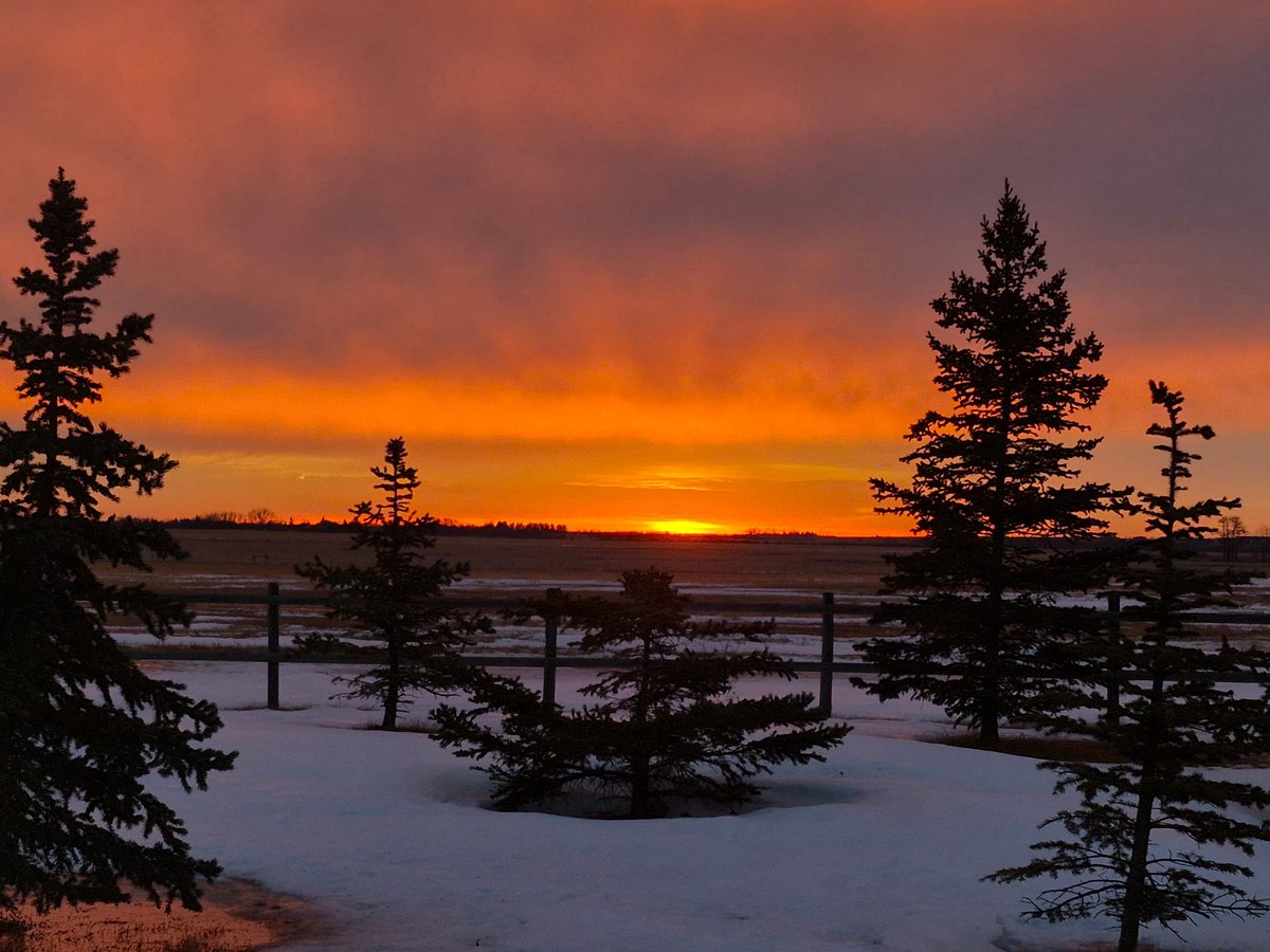 Michelle Mulgrove tweet media