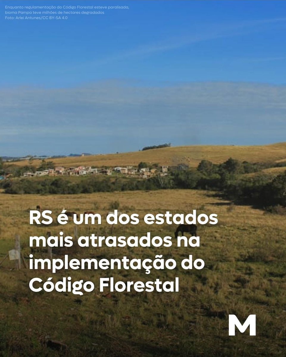 MiguelSRossetto's tweet photo. O estado que já foi vanguarda ambiental, hoje é quem mais atenta contra a legislação ambiental construída. Tudo em nome de um produtivismo e de uma ocupação territorial insustentável. Uma trágica marcha da insensatez.

O RS é o último estado do Brasil em monitorar, qualificar e orientar os proprietários rurais diante de irregularidades. Um descaso absurdo com a regularidade ambiental das terras, matas, encostas, campos e águas do estado. 

Omissão e licenciosidade que estimulam a degradação.