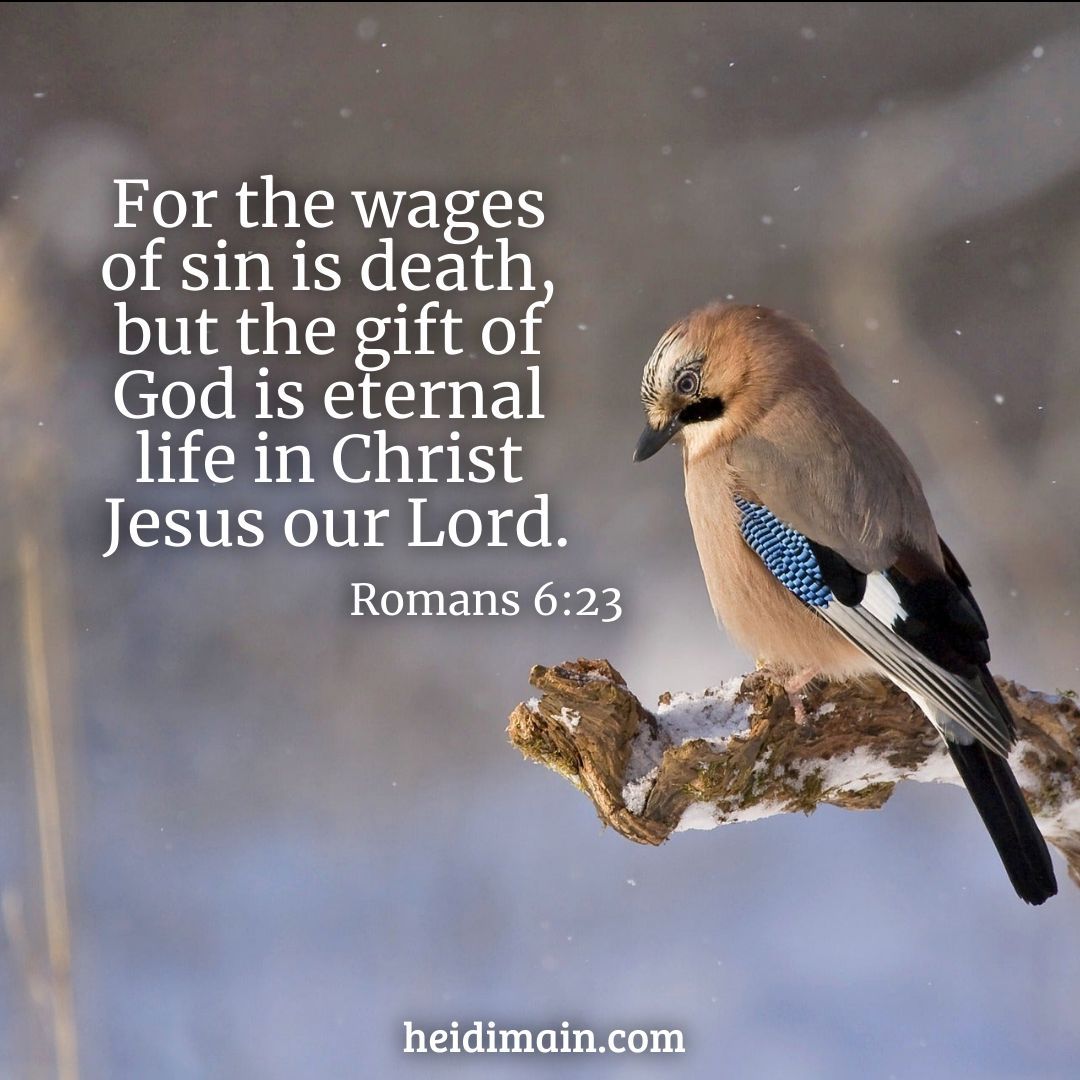 Heidi Main tweet media