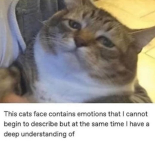 Unwanted Blog tweet media