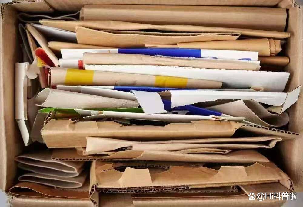 Angel Kitchens tweet media