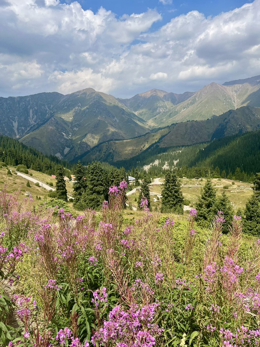 Stevie 🦝 tweet media