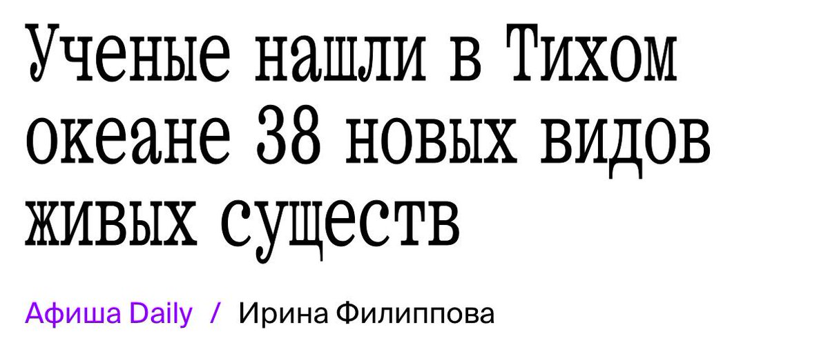 Афиша Daily tweet media