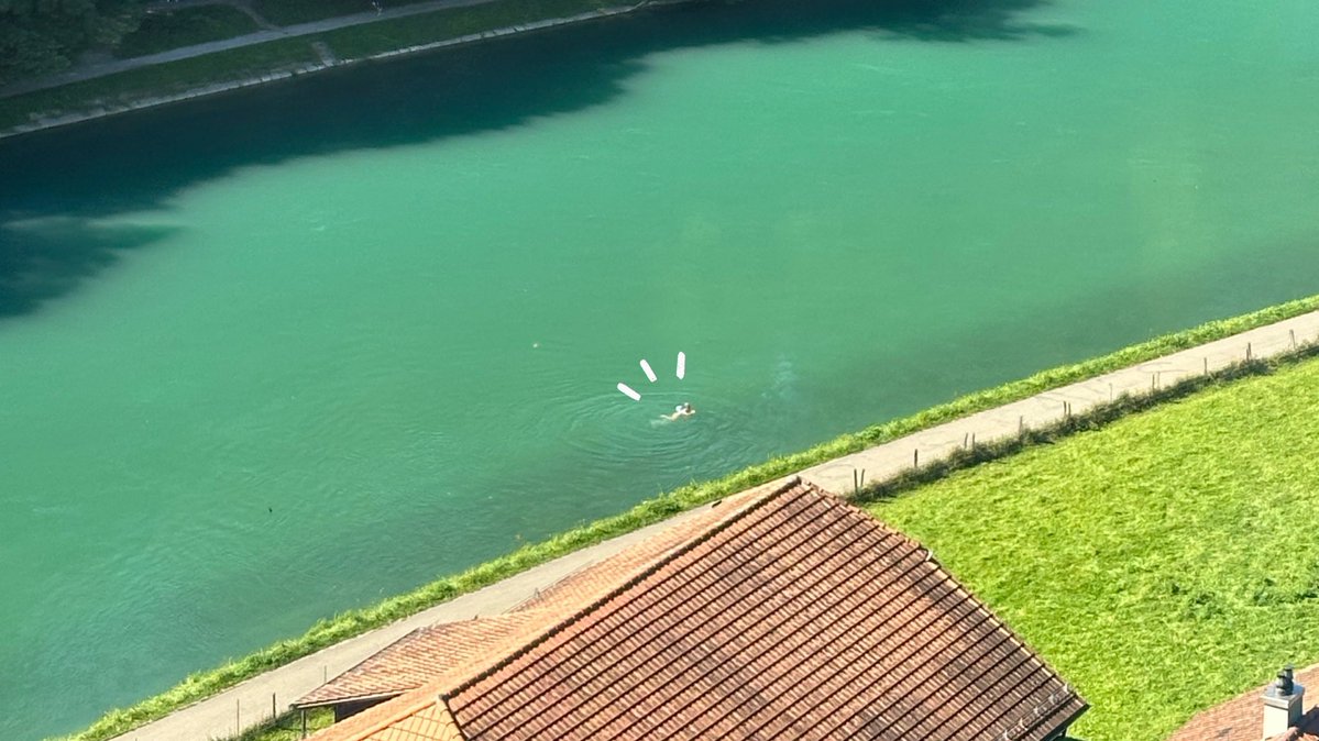 까눌레 tweet media