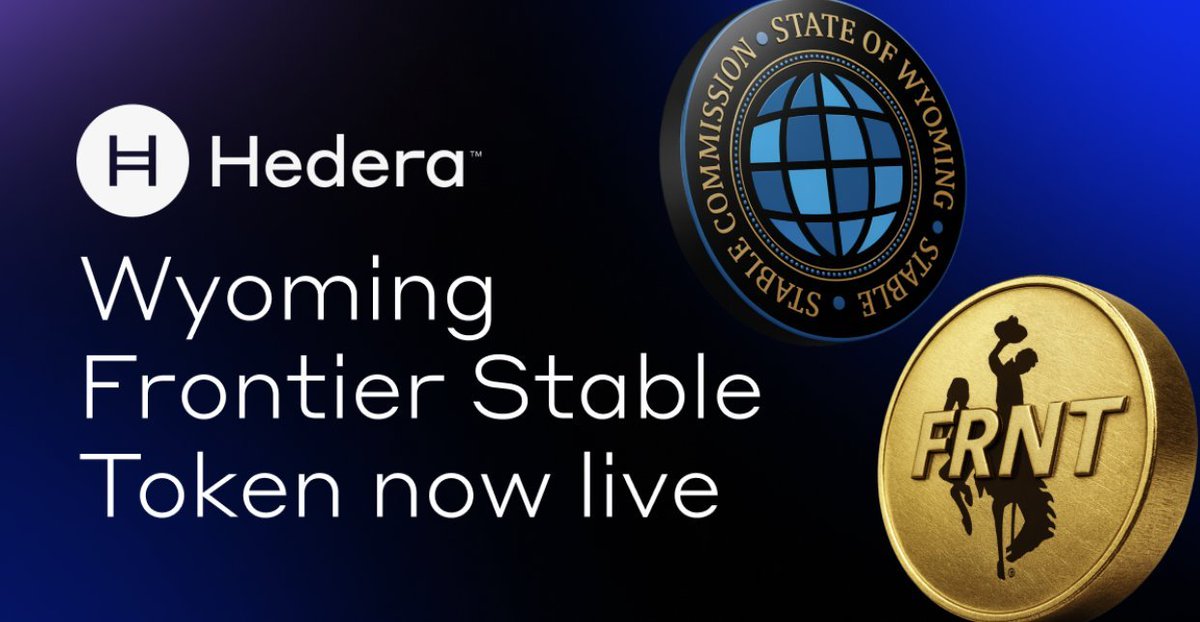 Hedera Español tweet media