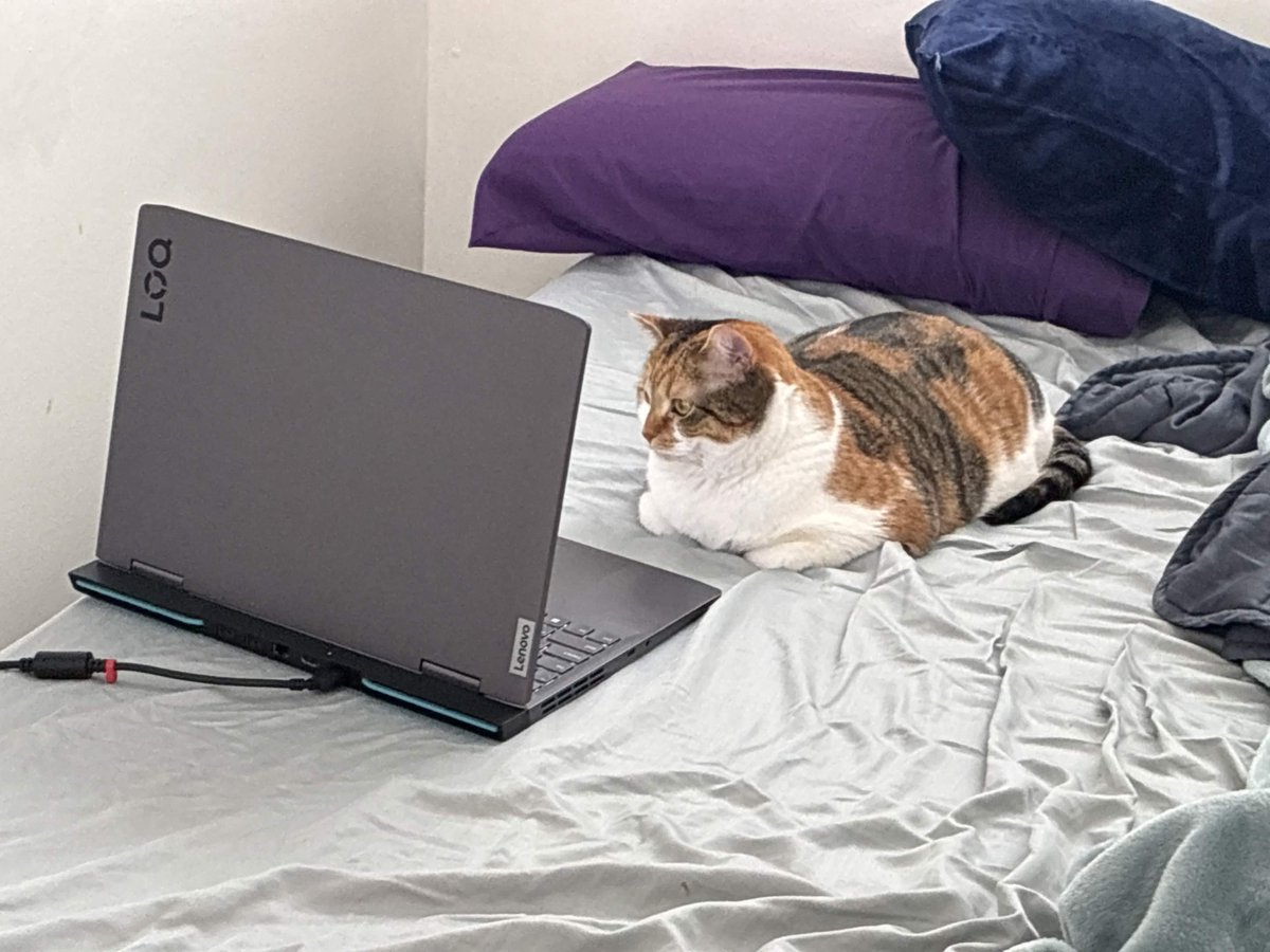 liz | frckld | comms open tweet media