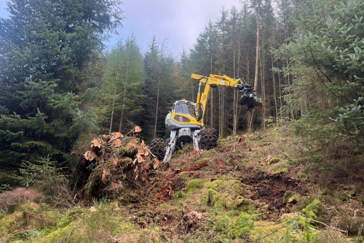 Herald Business tweet media