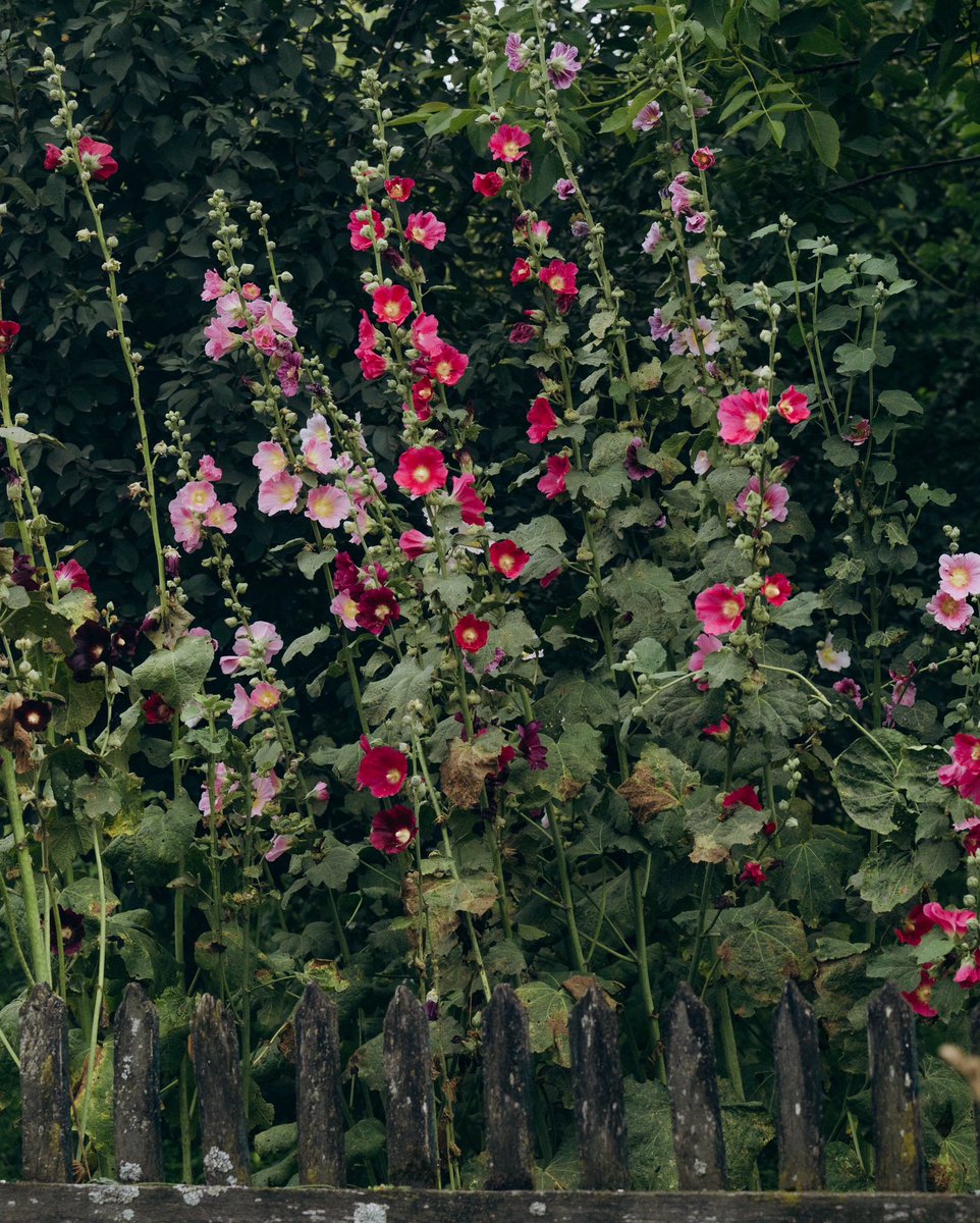 соляр tweet media