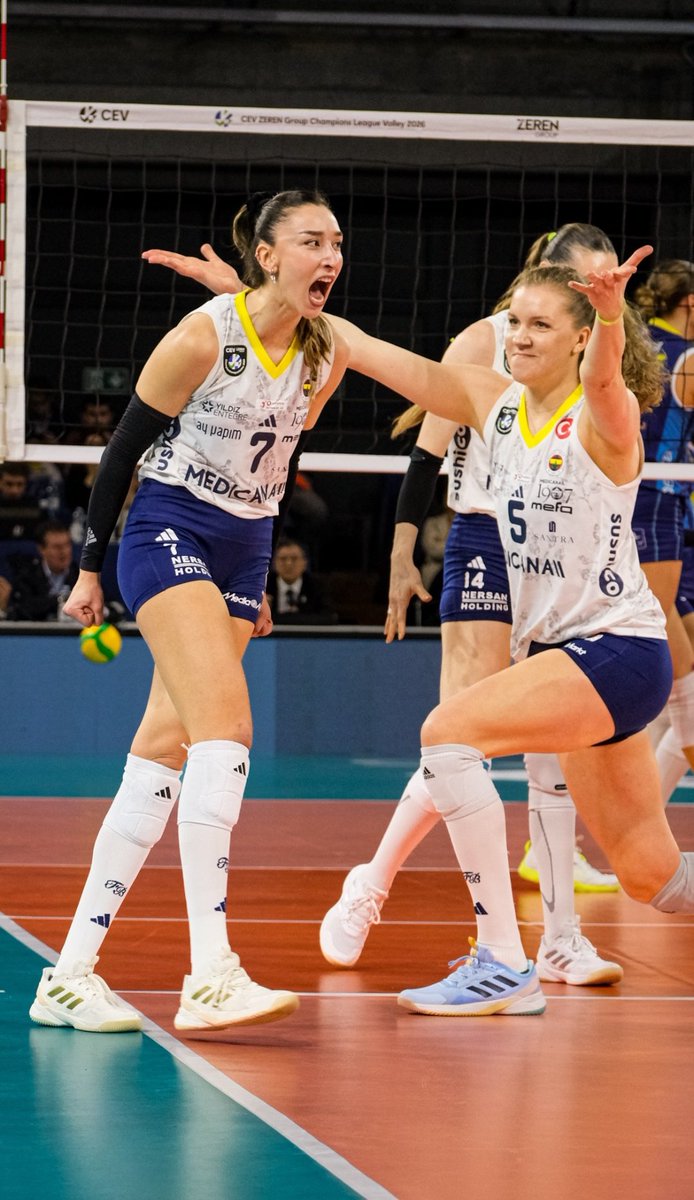 hande baladın archive tweet media