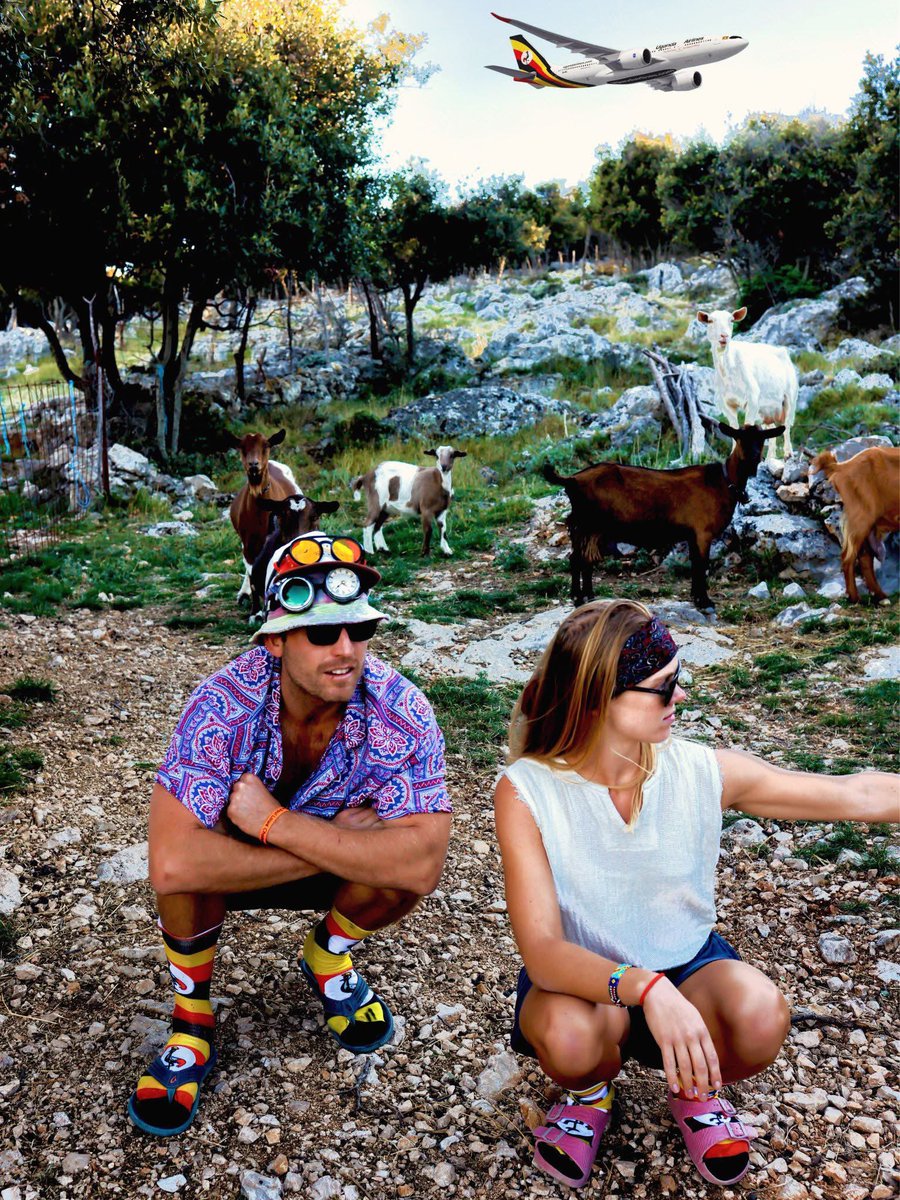 Youth Platform Africa tweet media