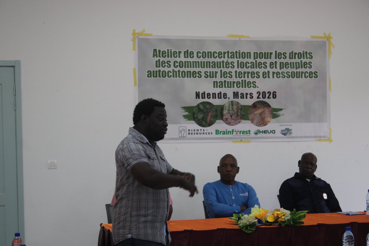 Brainforest Gabon tweet media