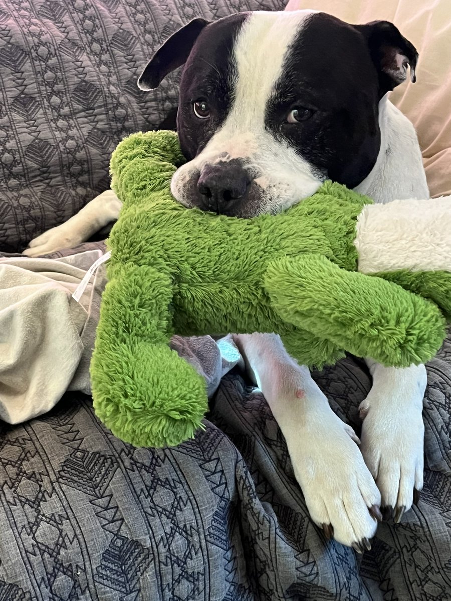 DCSC Inc. tweet media