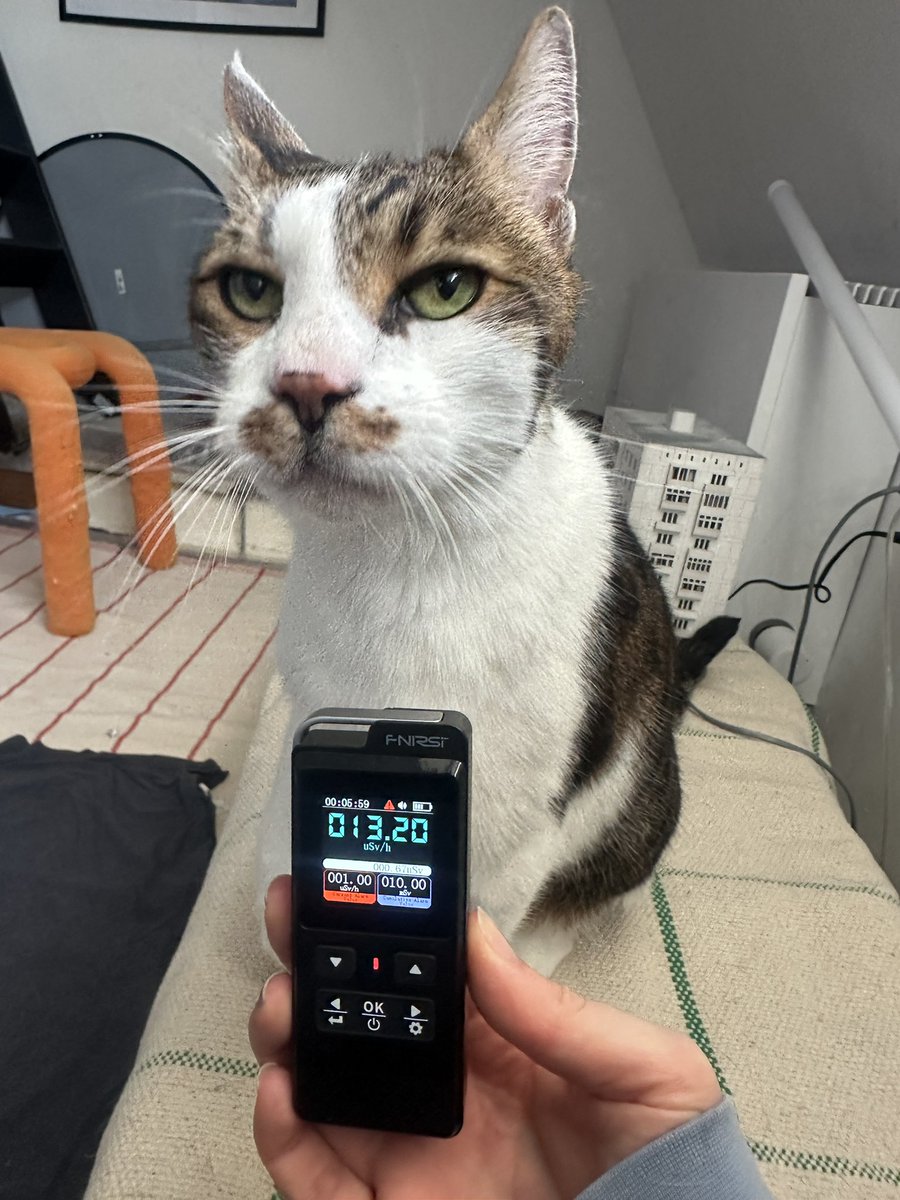 Maya Volf-Kats tweet media