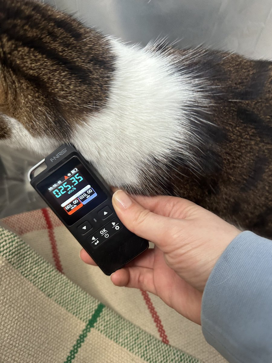 Maya Volf-Kats tweet media