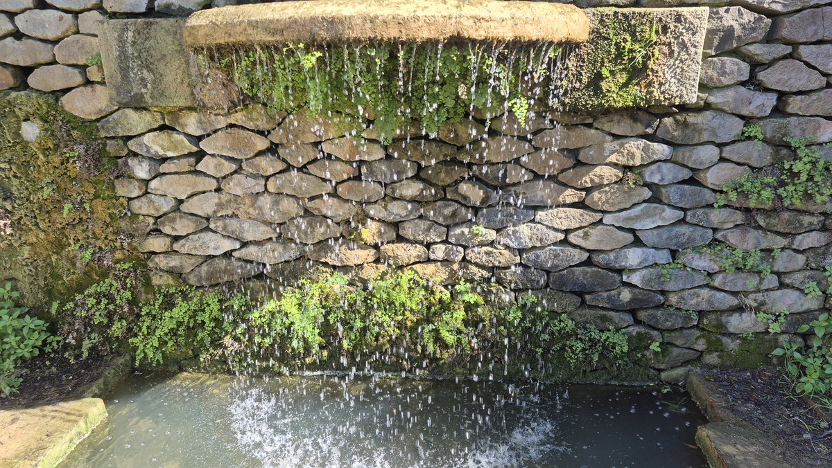 Lee at NFTV tweet media