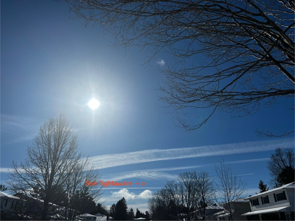 TruthTilly tweet media