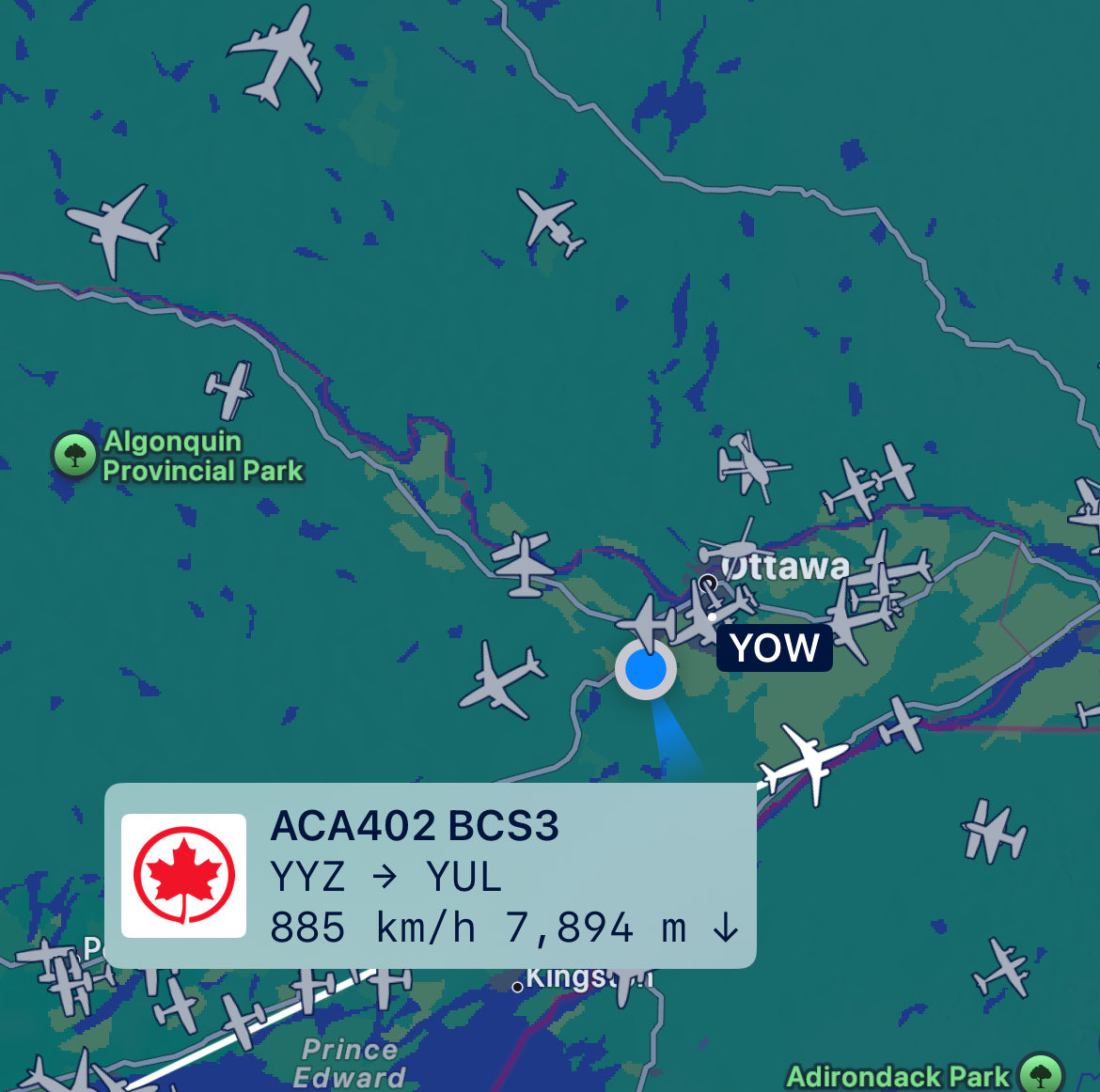 TruthTilly tweet media