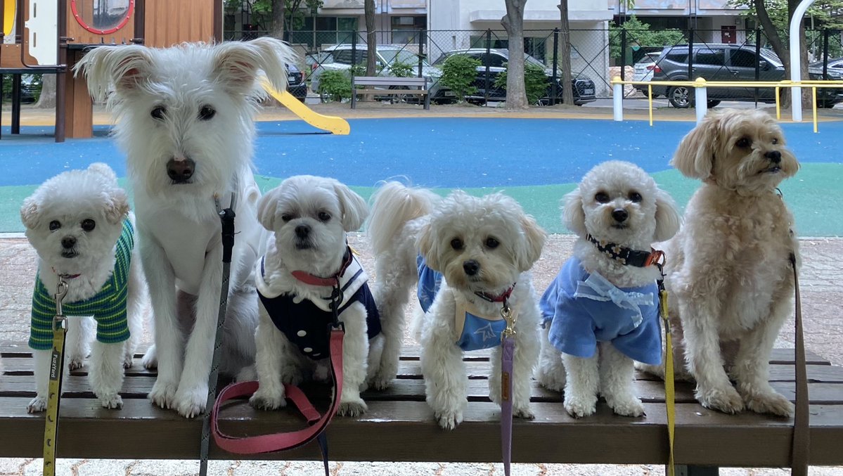 똥안부 tweet media