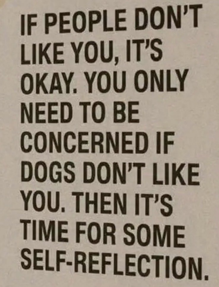 Juanita Broaddrick tweet media