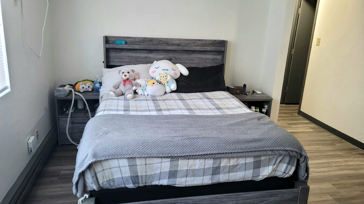 Strykur ⏳️🐺 tweet media