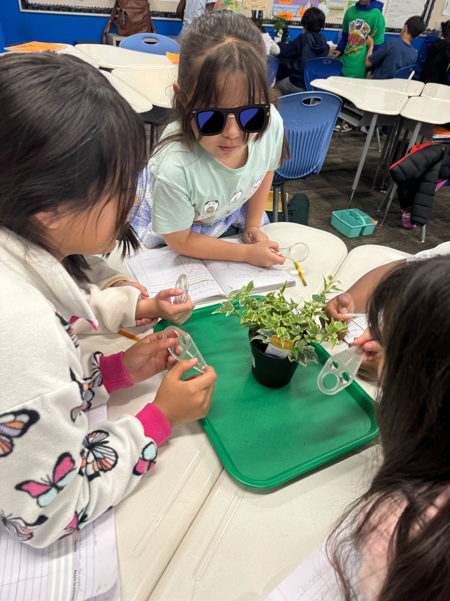 Eva Perales tweet media