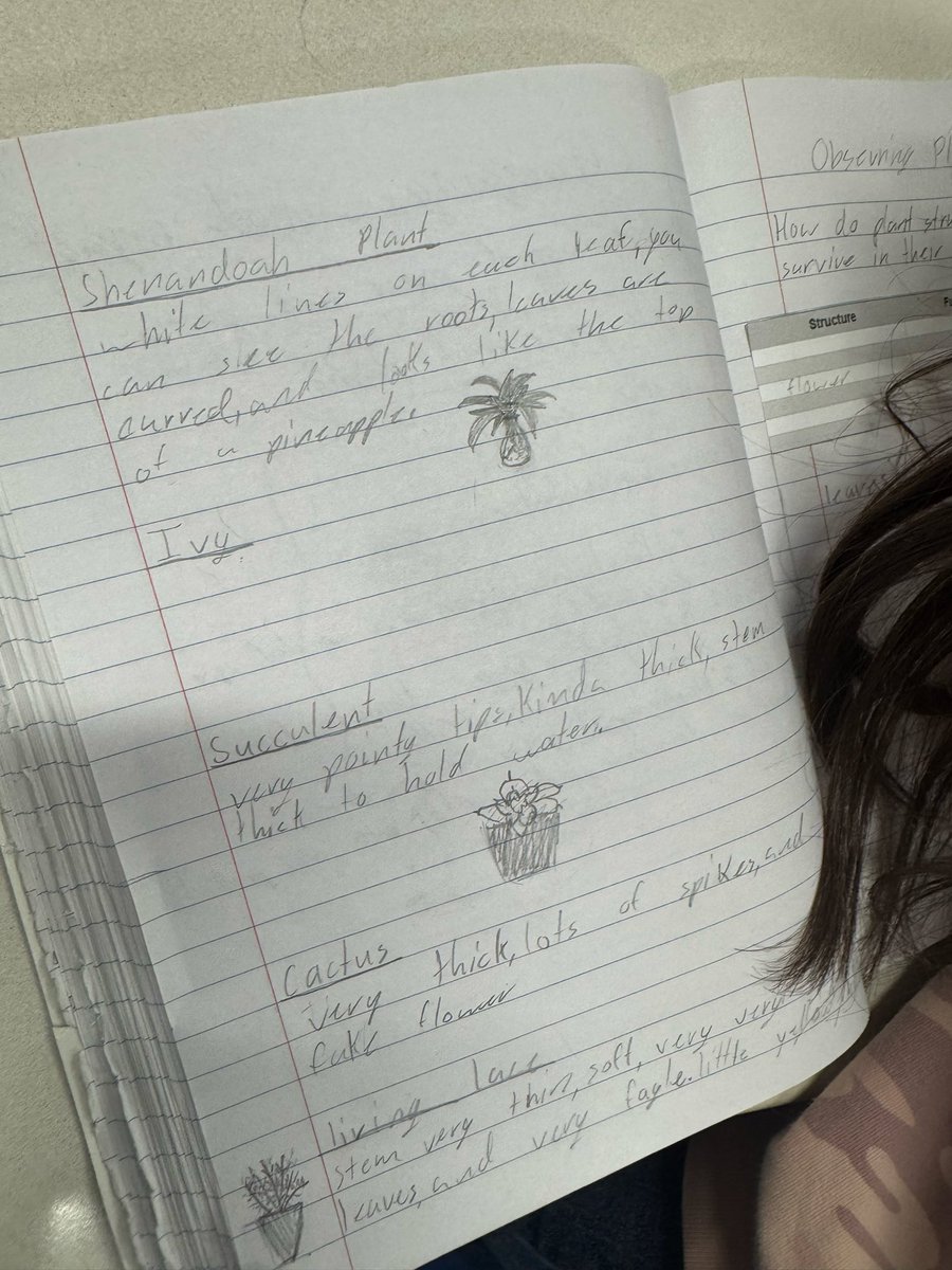 Eva Perales tweet media