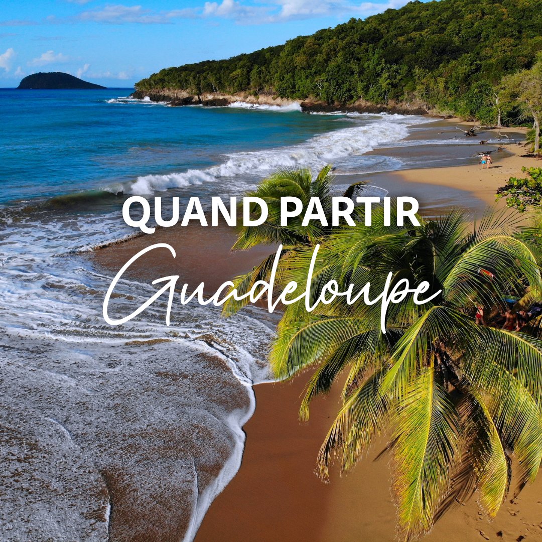 Selectour tweet media