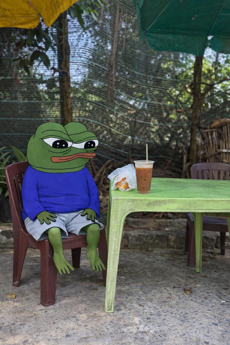 💛 Voxix🖤 tweet media