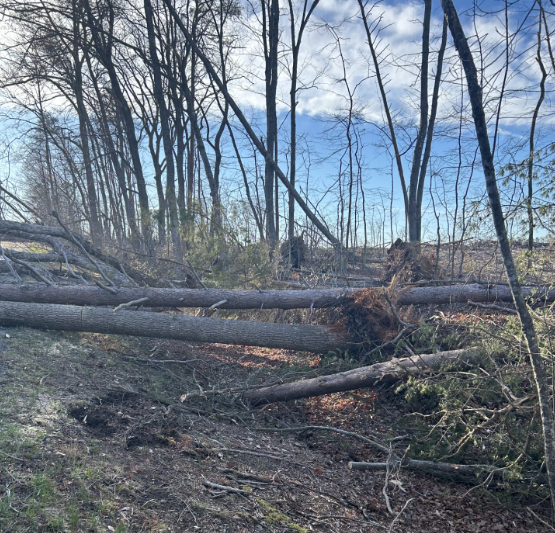 VDOT Culpeper tweet media