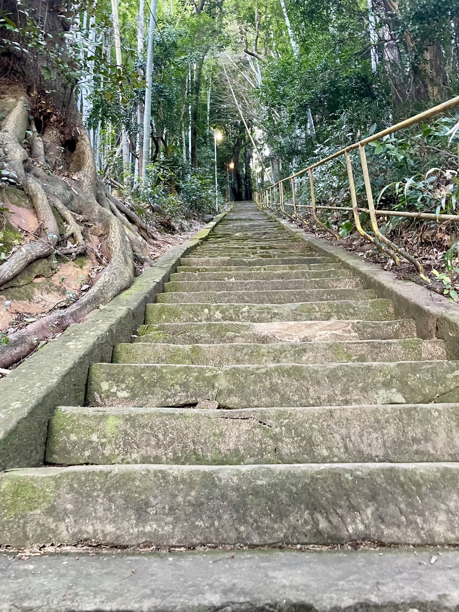 宇都宮俊哉【沖縄剛柔流空手道古武道】 tweet media