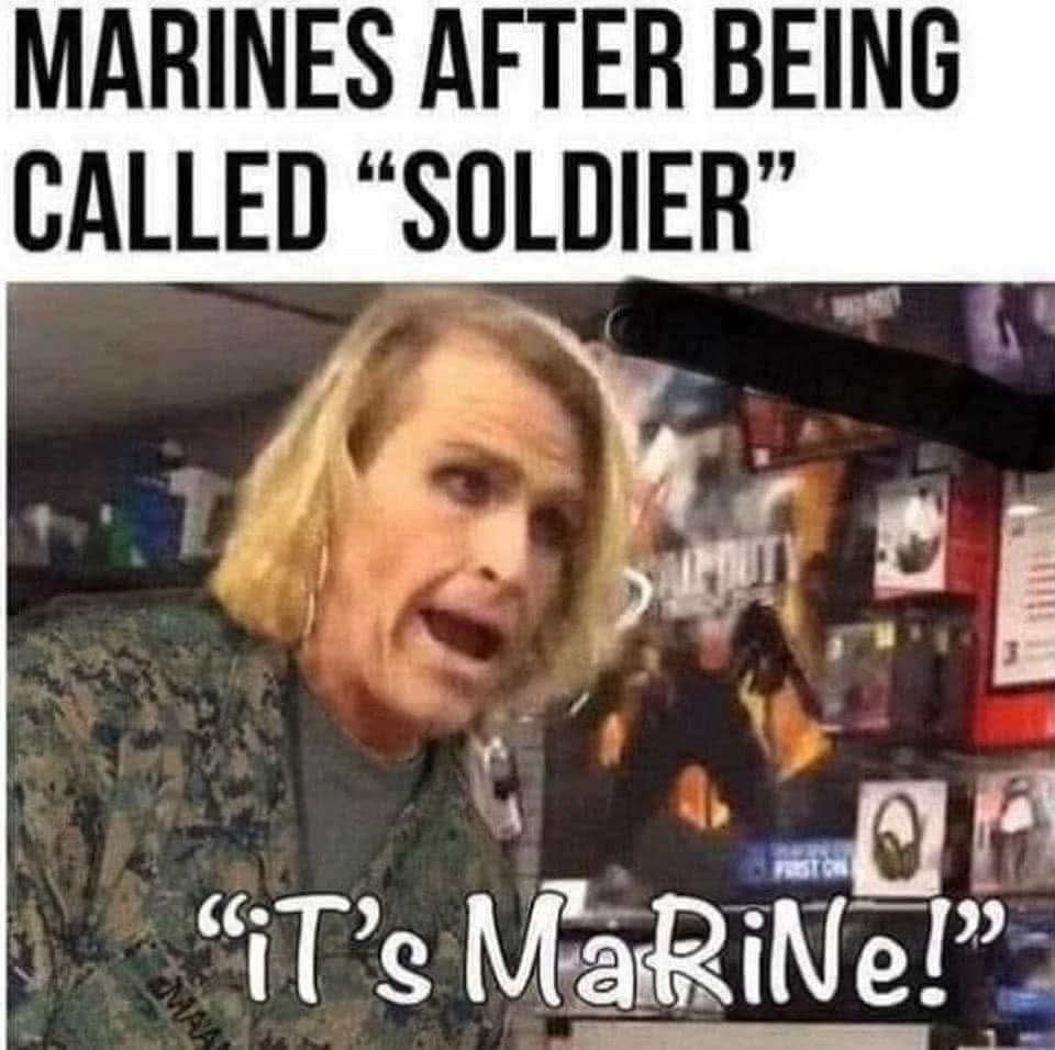 Wolf Carr tweet media