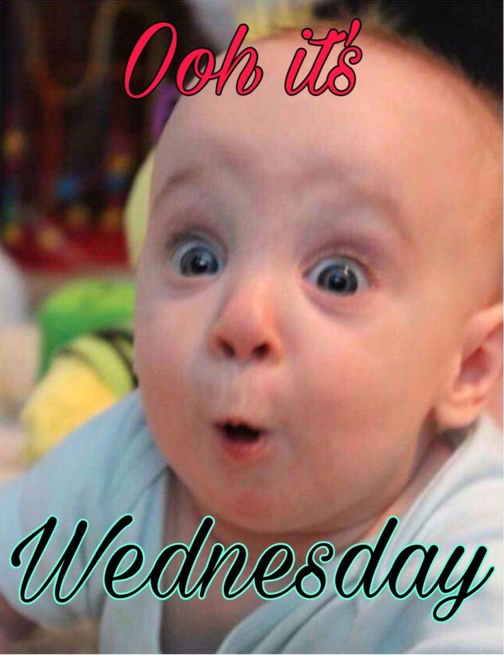 Strathcona Community Hospital Foundation tweet media