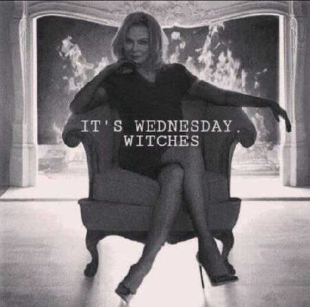 Inamorata tweet media