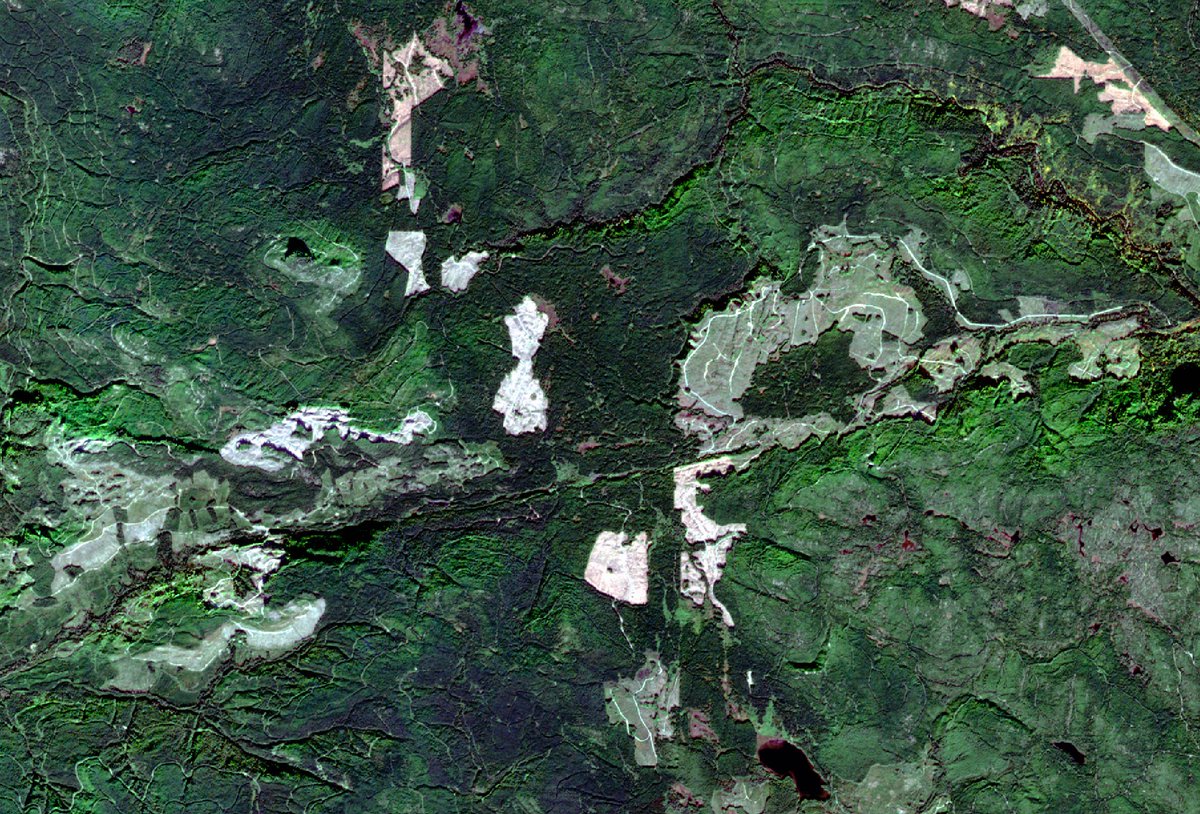 Canadian Space Agency tweet media