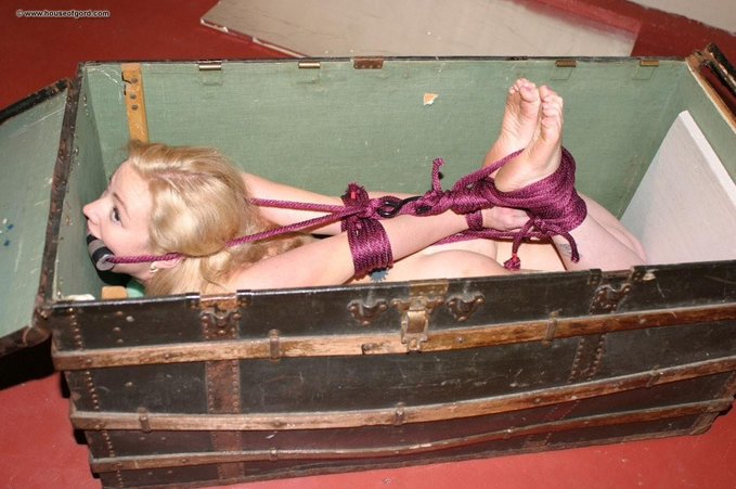 Cerbero Dom tweet media