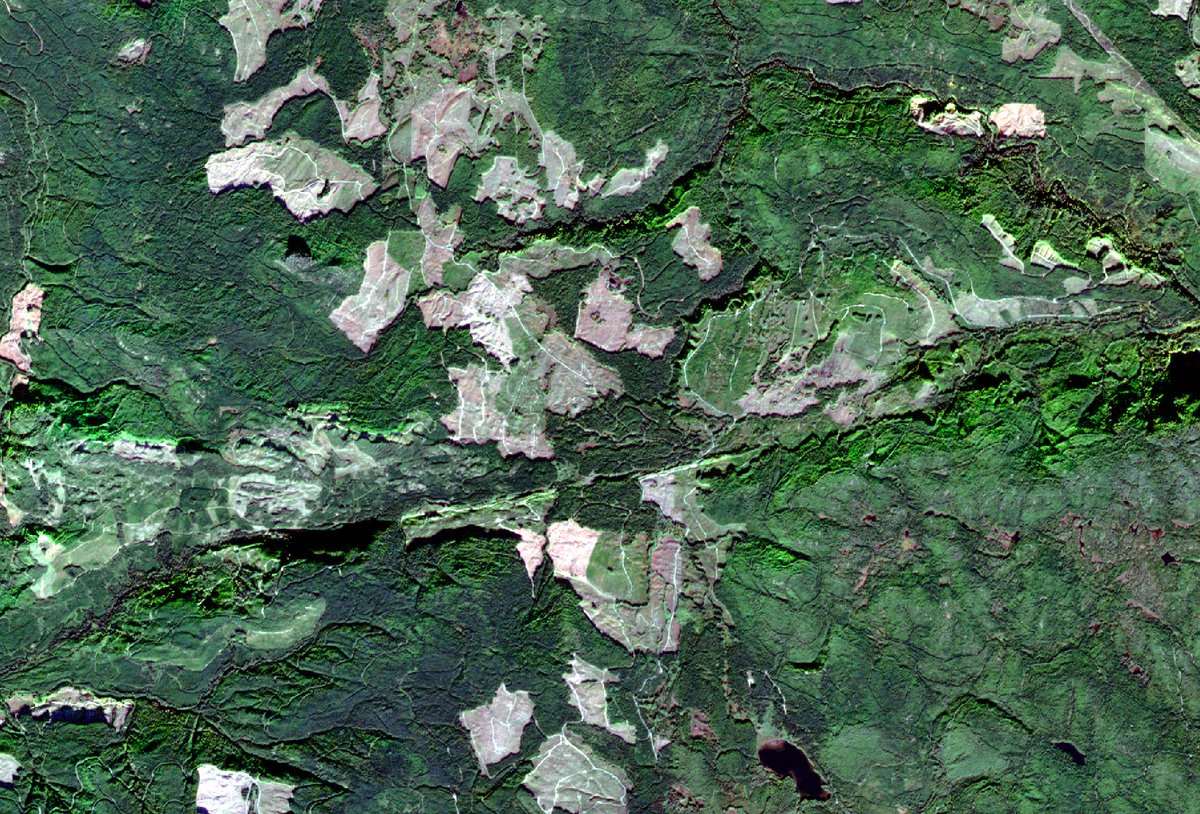 Canadian Space Agency tweet media