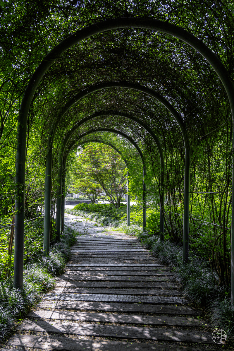 cesar2609 tweet media